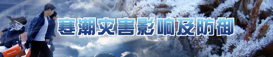 农业部进一步加强寒潮冰雪灾害防御工作饲草料急调内蒙古新疆等重灾区