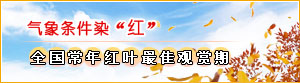 气象条件染红 全国常年红叶最佳观赏期