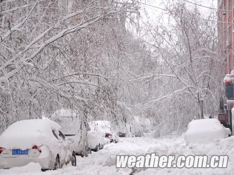 鹤岗遭特大暴雪 学生停课部分城区停水停电（组图）