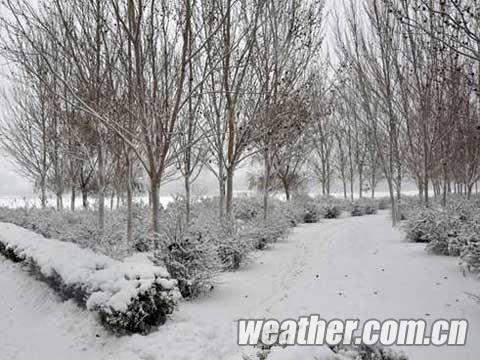 黑龙江大部12日将迎大雪 哈同高速已全线封闭