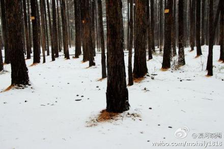 冷空气袭黑龙江 漠河飘雪